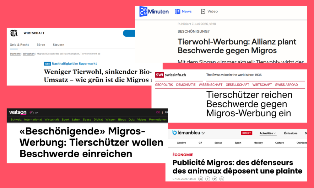 Medienspiegel mit Headlines von Tagesanzeiger, watson, Swissinfo etc.