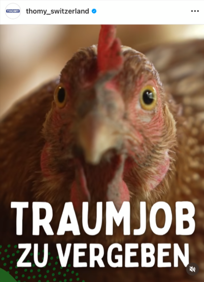 Instagram-Post von Thomy, darauf ein Huhn mit Schriftzug «Traumjob zu vergeben»