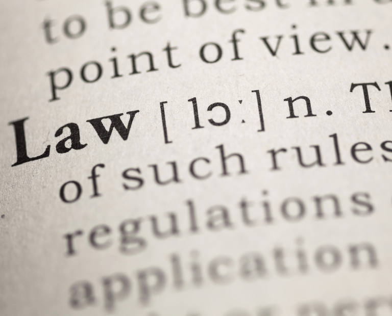 Mythos «strengstes Tierschutzgesetz»: Wo die Schweiz versagt